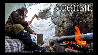 :       |    - Winter Solo Overnight Bushcraft Camp