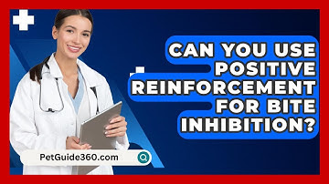 Can You Use Positive Reinforcement For Bite Inhibition? - PetGuide360.com