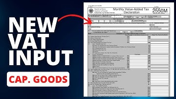 2023 VAT Input Tax . . . In Capital Goods 🤔