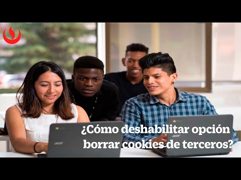 Cómo borrar cookies de terceros