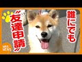 誰にでも“友達申請”　フレンドリーな「さち」