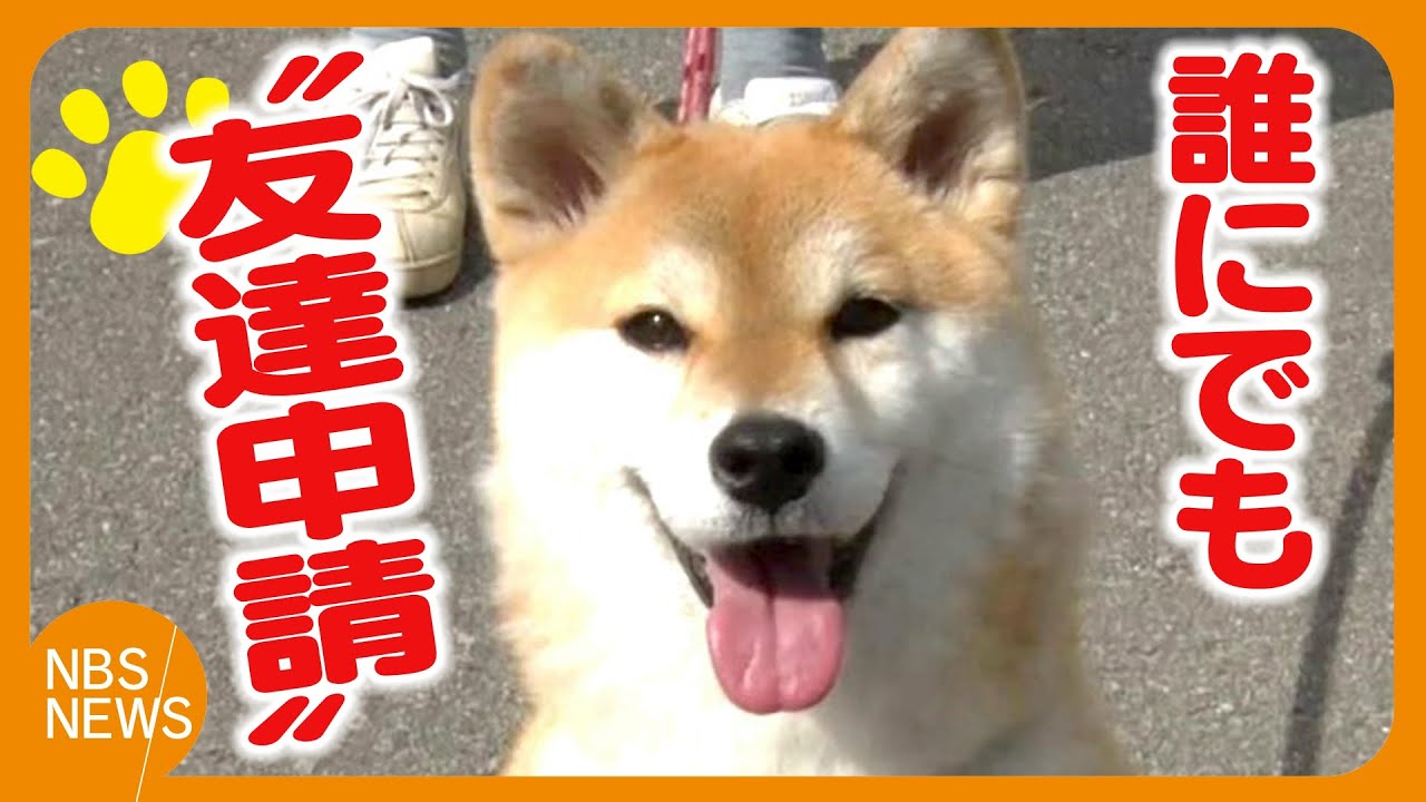 誰にでも“友達申請”　フレンドリーな「さち」