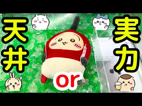 【ちいかわ】ちいかわのお誕生日BIGぬいぐるみに初日挑戦!!