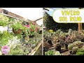 Vamos a un vivero después de 4 meses TOUR POR EL VIVERO SOL ROJO│Candy Bu