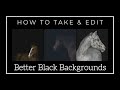 Better Black Background Portraits -  Horse Photography Tutorial
