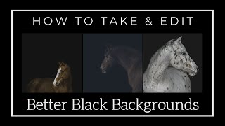 Creating Stunning Portraits with Black Backgrounds: A Horse Photography Tutorial screenshot 5