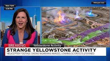 Why The Media is Silent About Yellowstone