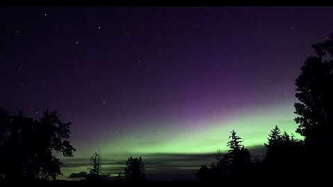 سورة القيامة - عبدالرحمن الإتربي