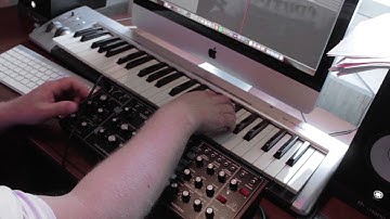 Behringer Model D Multitrack Demo