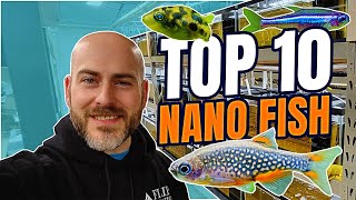 Top 10 Nano Fish for Freshwater Aquariums