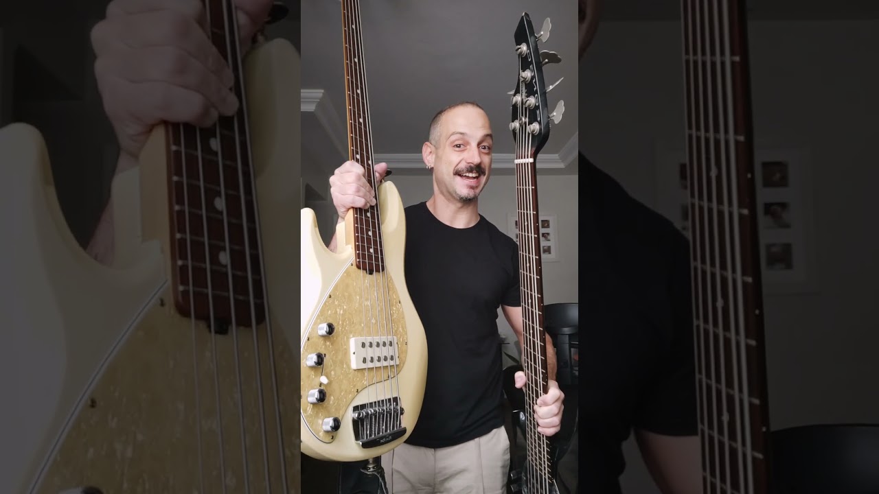 MUSICMAN STINGRAY VS BONGO