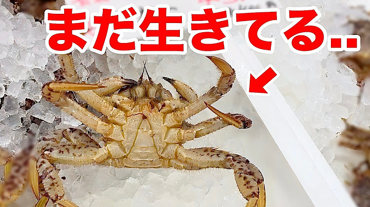 If you put a cold, super cheap crab from a fresh fish supermarket into an aquarium...