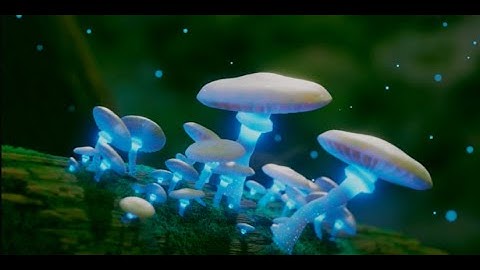 Mushroom Timelapse in Blender 2.93