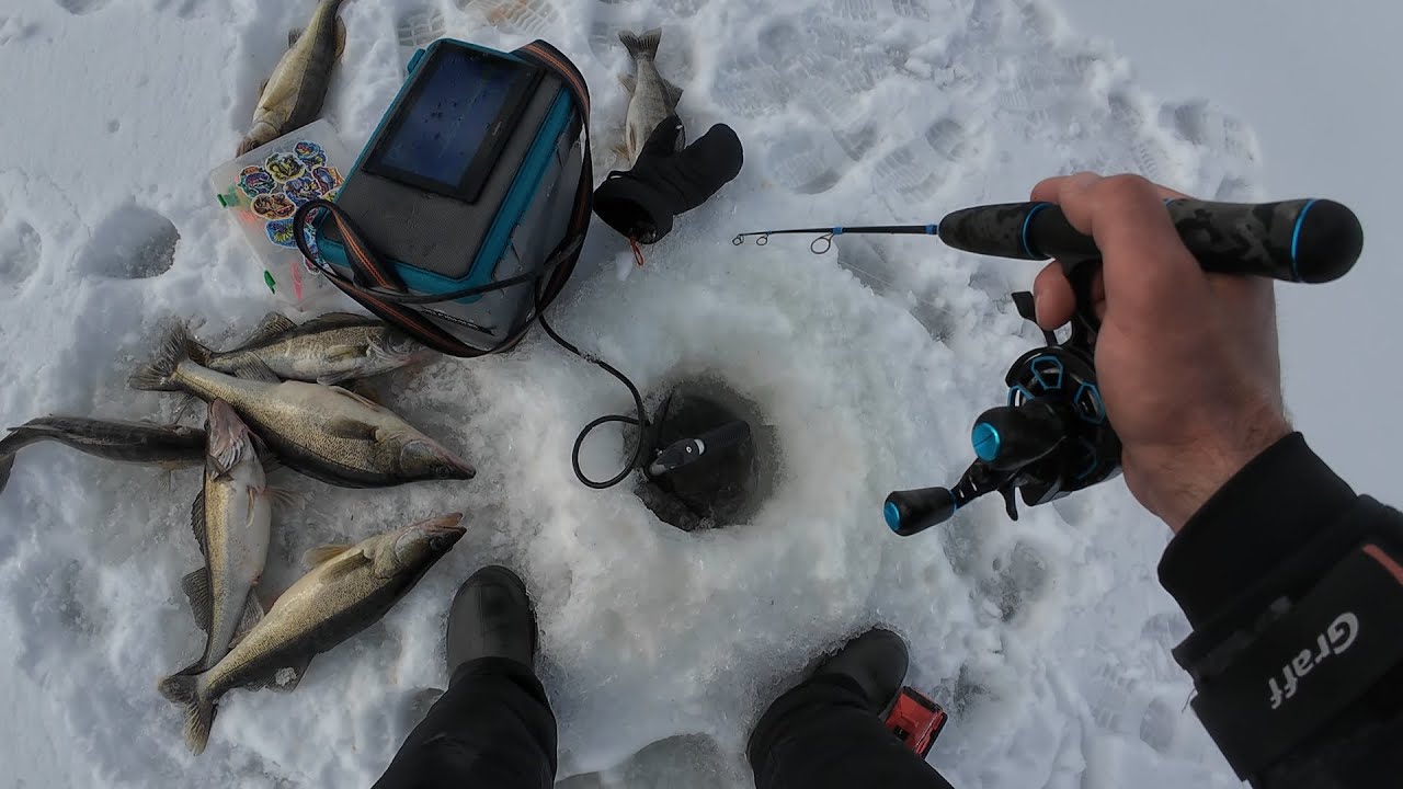 Просто кучи РЫБЫ и СТАИ судаков! Рыбалка на Обском водохранилище!