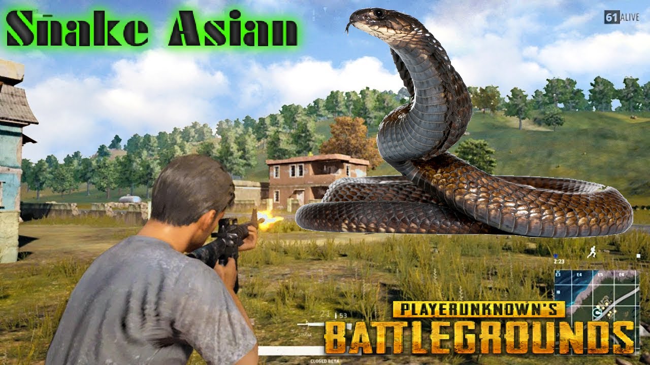 rip113 pubg mobile BATTLEGROUNDS - Tạ nhất thế giới !