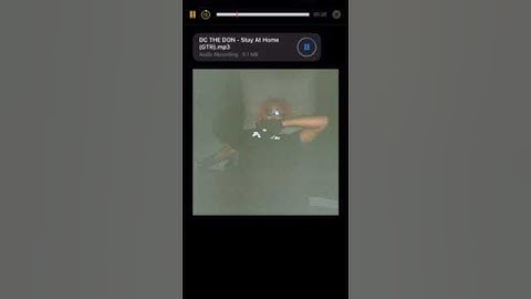 DC The Don - Stay At Home (New Snippet)