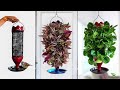 Indoor Hanging Plants That Will Thrive in Your Home | Hanging Planter | Hanging Plants//GREEN PLANTS