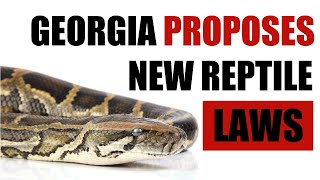 New Georgia Reptile Laws