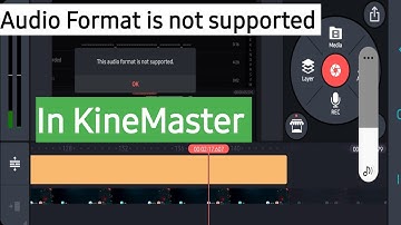 This Audio format is not supported ! Problem Solve 100%