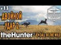 theHunter Call of the Wild #13 🔫 - Двойной Удар 2 - Ружье - Гну, Бородавочник, Шакал Куду