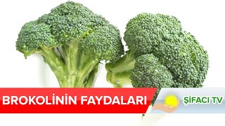 Brokolinin Faydaları Nelerdir? Şifacı Tv Doğanın Şifalı Bilgilerini Size Sunuyor