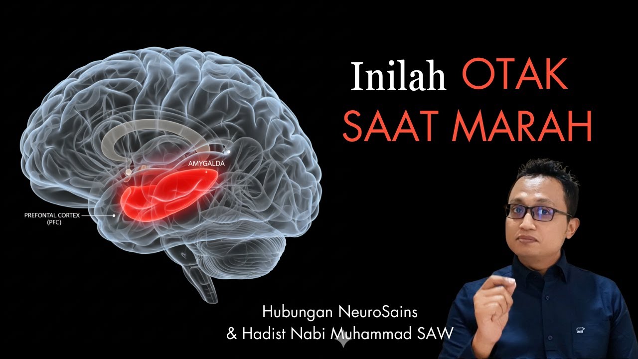3 Taktik Otak [Neurosains] untuk Hentikan Amarah Seketika (Sesuai Hadits Nabi)