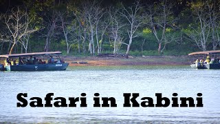 Safari in Kabini Tiger Reserve