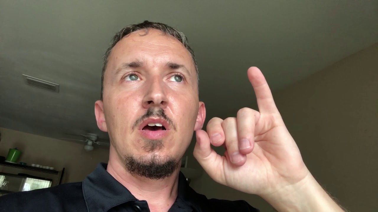 videocon care centre Ball Python Daily Vlogg #121