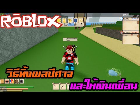 เเจกเง นในเเมพsteve S One Piece 500m Youtube - roblox alpha steve s one piece ผลพ ษ 3 เพชร 1 ขายจ าาา l