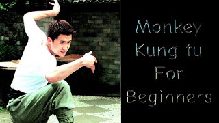 Explore the Fluid and Acrobatic Movements of Monkey Kung Fu: Tutorial for beginners