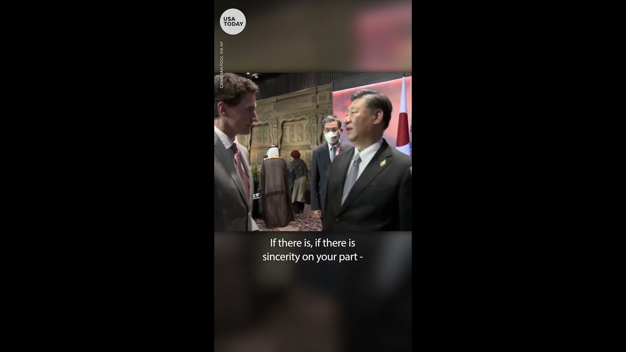 Chinese President Xi Jinping confronts Justin Trudeau at G20  USA TODAY  Shorts