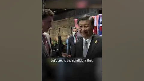 Chinese President Xi Jinping confronts Justin Trudeau at G20 | USA TODAY #Shorts - DayDayNews