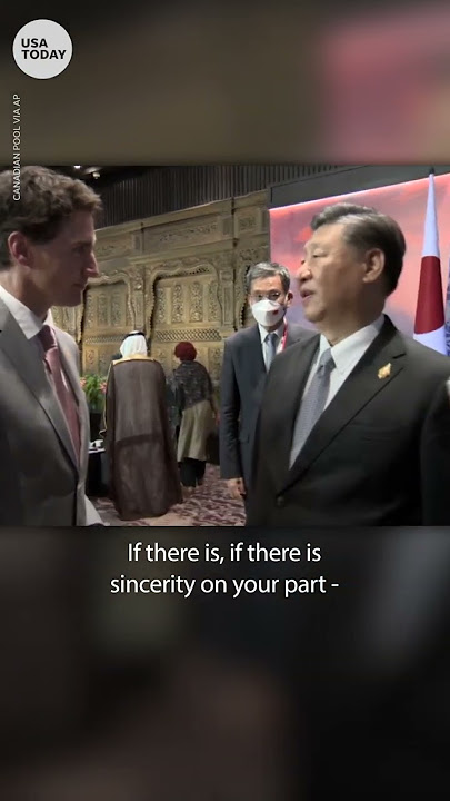Chinese President Xi Jinping confronts Justin Trudeau at G20 | USA TODAY #Shorts