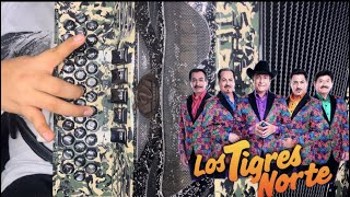 Mi Fantasía - Los Tigres Del Norte ( TUTORIAL )