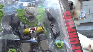 Jenson the Alaskan Malamute reviews s3 tf hardhead