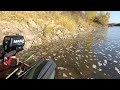 Рыбалка на ХАРИУСА в Алтайском крае . Ловля хариуса на удочку . Река Бия .