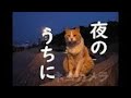 夜のうちに chage and aska/ ピアノ弾き語り cover