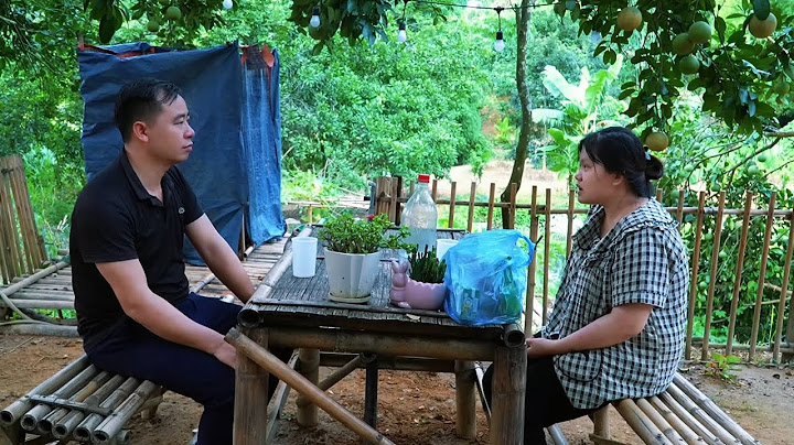 Jhony secretly took Tu Na's hair sample to test her DNA again. What will the result be?