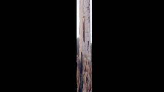 Ikaria Fotocollection Movie