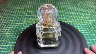 Roberto Cavalli paradiso review