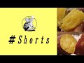 焼き芋を焼いて食べる【紅はるか】ホクホクとねっとり比べ #Shorts