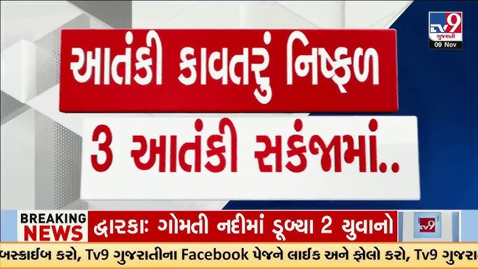 Berkova porno video Dom 2