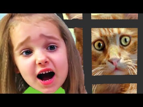 Видео: КРАСНЫЙ ШАР МИСС КЕЙТИ против зомби, спасаем кошку Мурку, мультик игра Детский летсплей #9