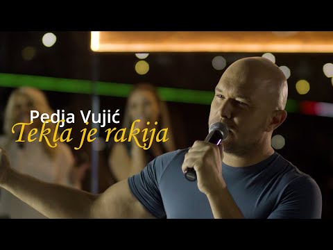Pedja Vujic - Tekla je rakija ( Bekrija) Cover 2021