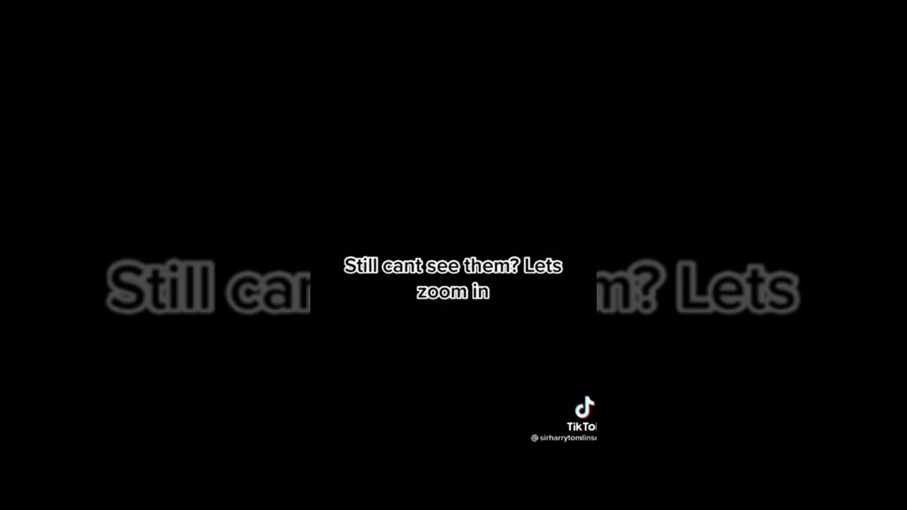 y'all remember when Louis and harry kissed at the VMAs 12