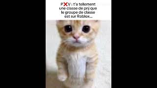 cc cv le gros pnj