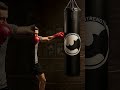 Maxstrength 4FT &amp; 5FT Hanging Punch Bag | Black Rhino Design | Boxing &amp; Kickboxing Training