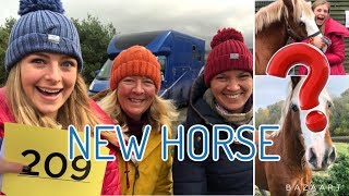 MEET MY NEW PONY ~ A trip to the Welsh sales