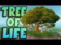 There&#39;s A Special Tree On The Fortnite Season OG Map...