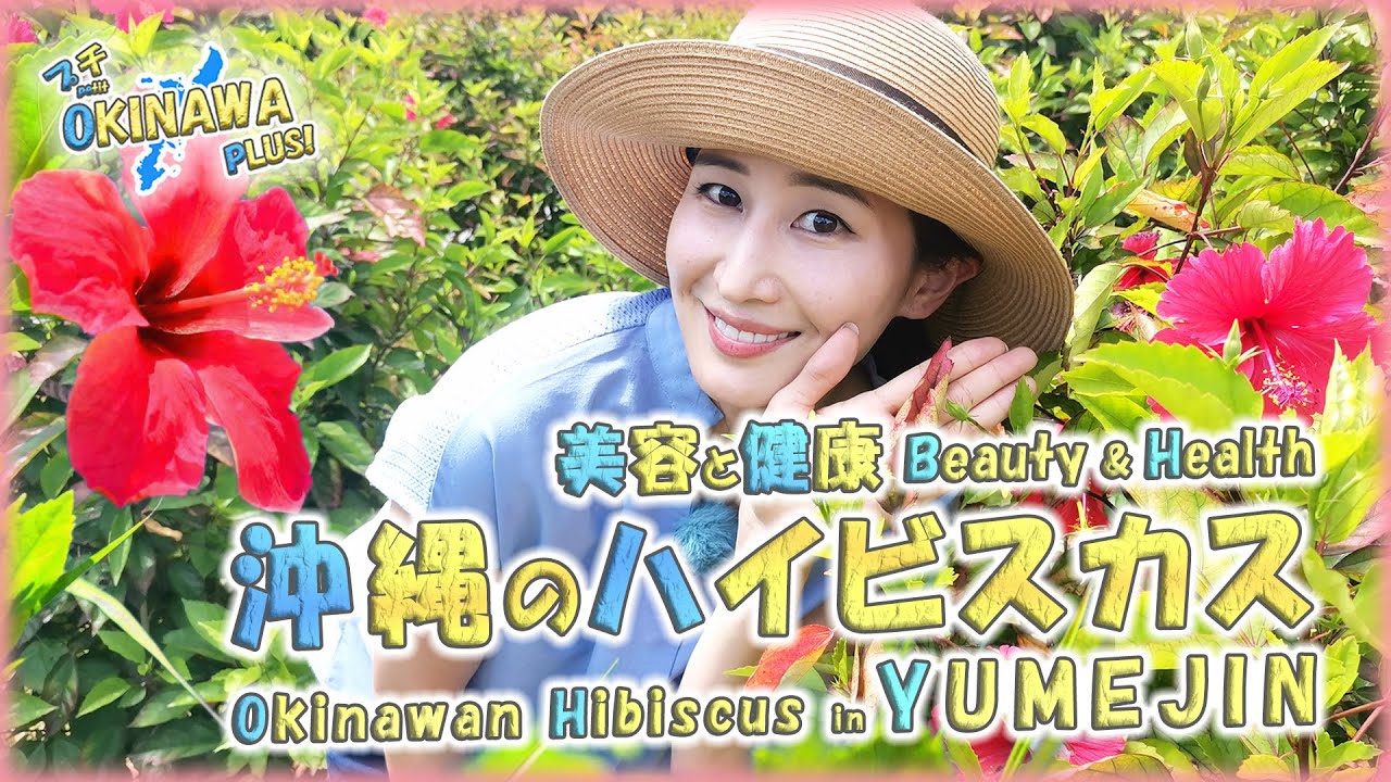 Okinawa Nature: Health and Beauty】?The Magical Flower: HIBISCUS 